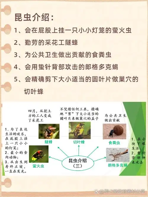 今天我将向大家推荐一本以昆虫为主题的经典作品——《昆虫记》!