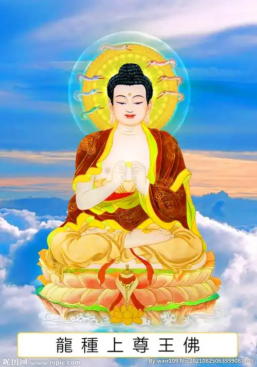 三十三尊龙种上尊王佛图片