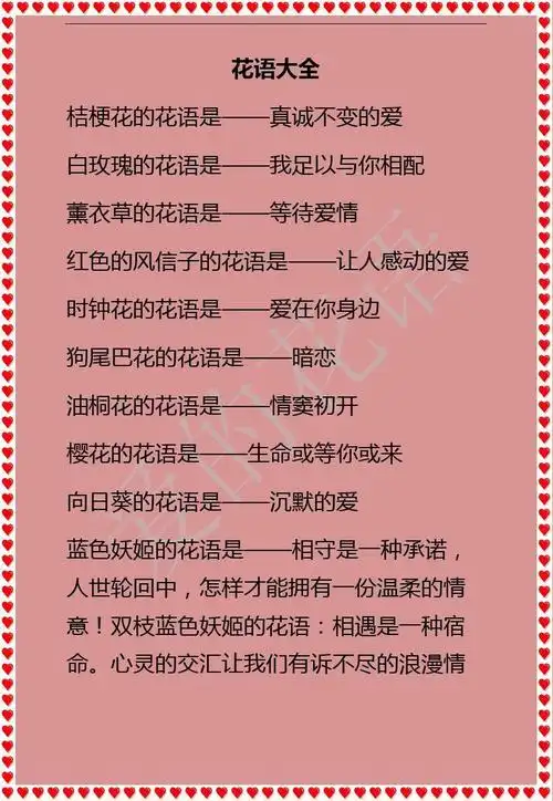 花语大全 桔梗花的花语是——真诚不变的爱 白玫瑰的花语是——我