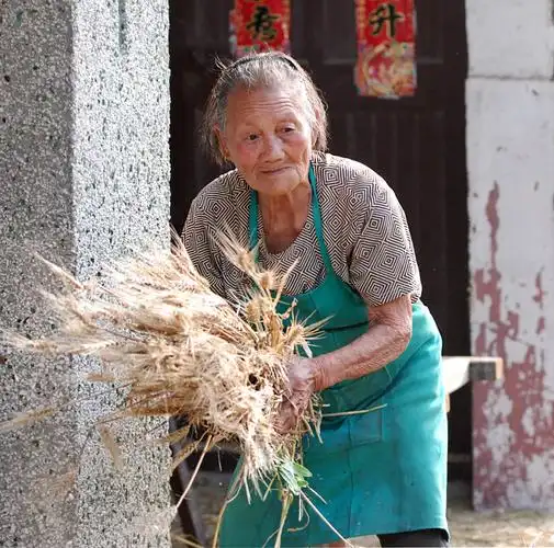 《粒粒皆辛苦》---为一个勤劳的八旬老人点赞