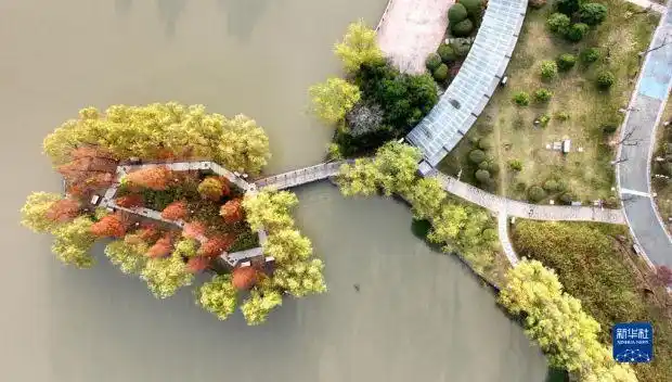 11月26日拍摄的连云港市海州区郁洲公园一角(无人机照片).