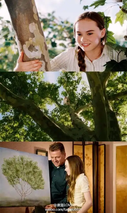 怦然心动爱情是树不是花