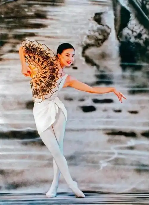 执意从美包机回国,3天后去世无子孙送终|演员|杨丽萍_网易订阅