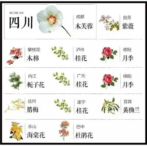 盘点史上最全中国各城市市花
