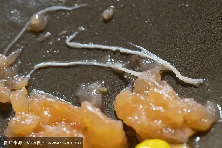 鲑鱼中的异尖线虫