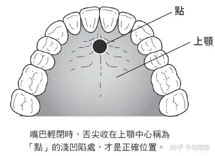 舌头放对位置吗搞错地方口腔细菌更易增加