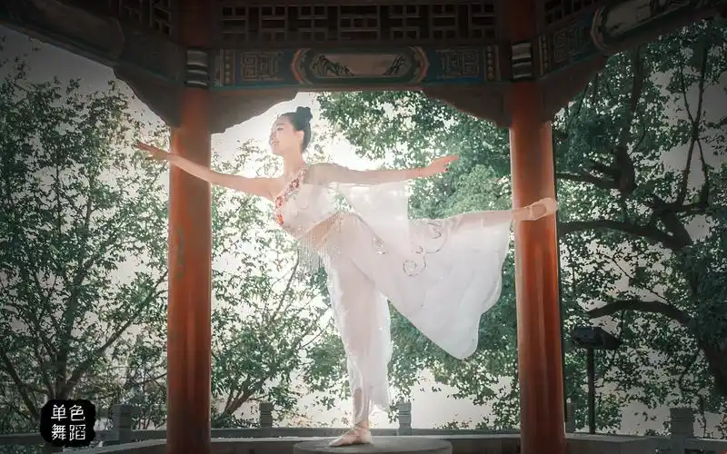 单色舞蹈唯美古典舞流光飞舞单人视频╮╯3╰╭