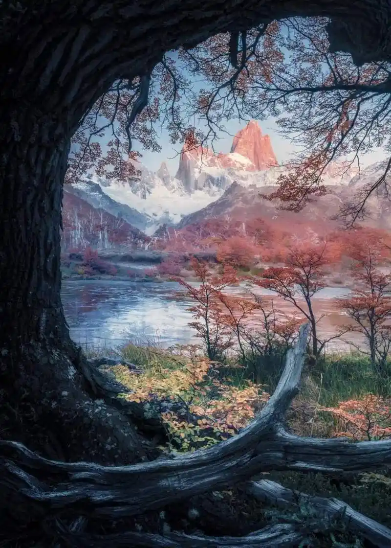 巴塔哥尼亚的秋天——菲茨罗伊#你不知道的世界美景