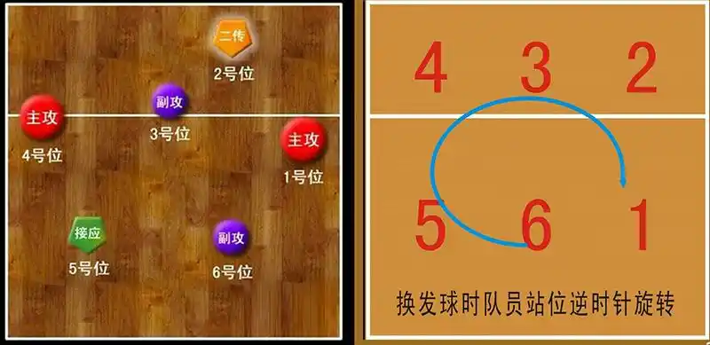 排球的站位及基本战术