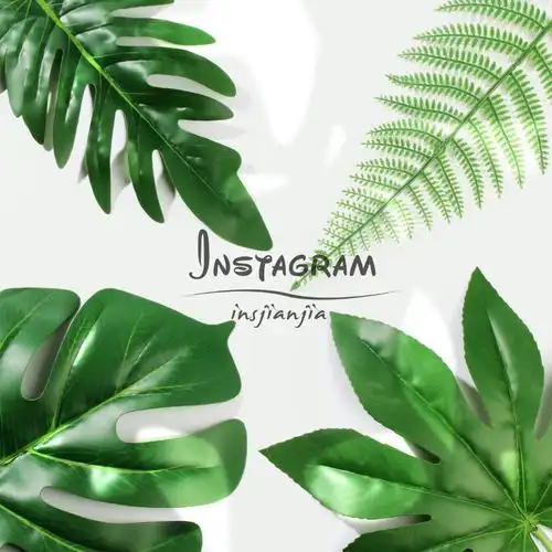 ins风仿真叶子拍照道具摆件饰品美甲拍摄摆拍装饰背景布淘宝摄影