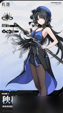 鸣潮新手池角色哪个好_鸣潮_九游手机游戏