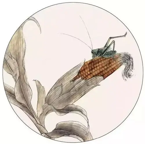 零基础工笔画蝈蝈的工笔技法