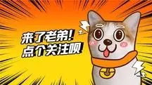 幽默创意求关注萌宠感谢关注抖音背景图