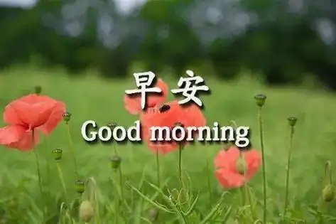 4. 早上好!心情是最好的美容秘诀