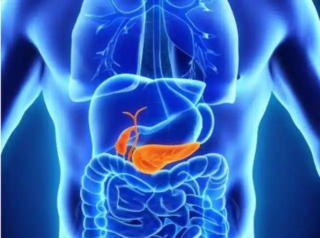 尤其是对于那些本身就具有胰腺疾病的人来说,如果大量饮酒很可能导致