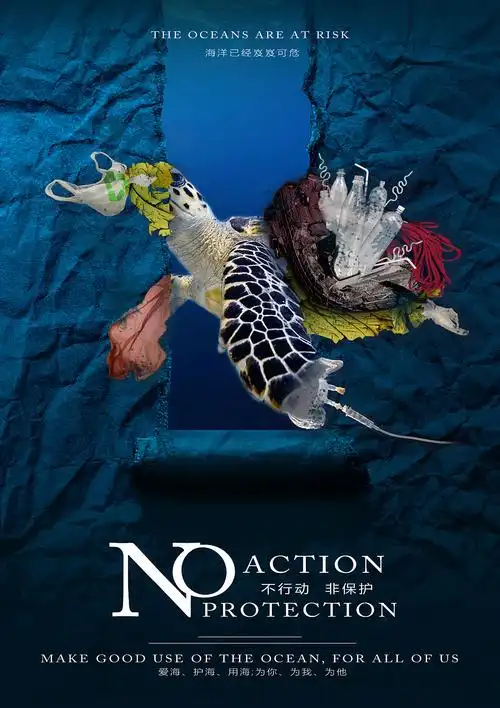 no  action,no  protection——海龟