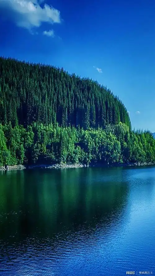 碧绿的海面蓝蓝的天空手机壁纸