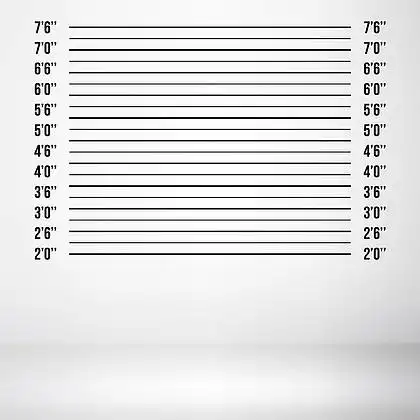 警察照片矢量.白色背景图上孤立的警察阵容