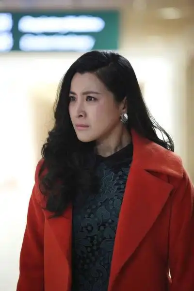 王雅捷[微博],张歆艺[微博],张国立[微博],李明启[微博]等主演的电视