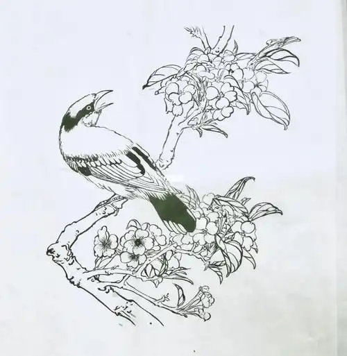 白描花鸟图