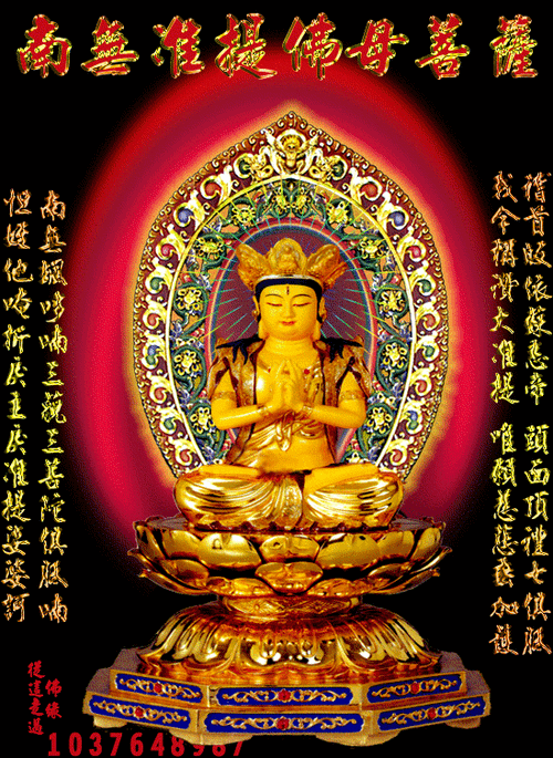 549_752竖版 竖屏gif 动态图 动图