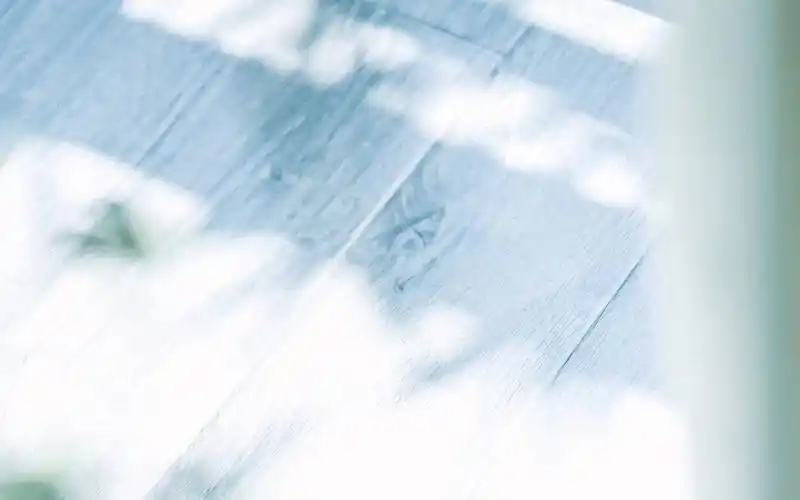 极简白色小清新静物唯美高清壁纸