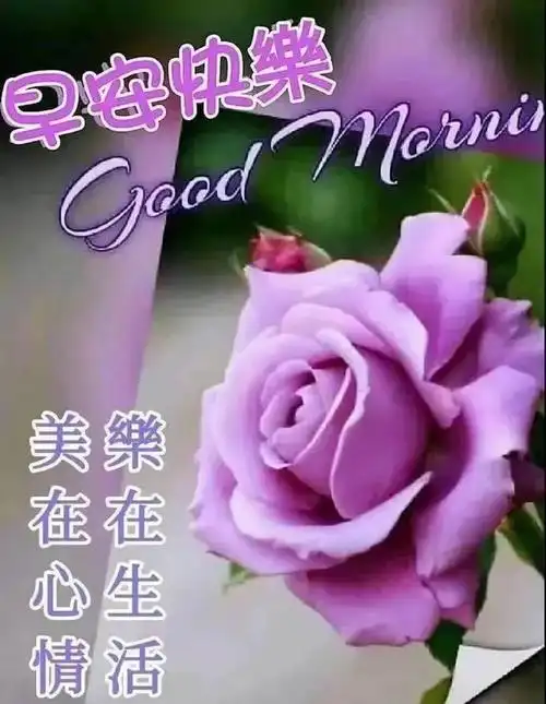 有创意的清晨早安问候祝福语图片带字温馨