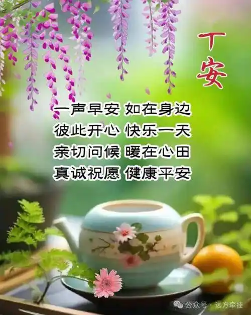 中老年表情包相册,精选每日早安问候祝福语表情包图片大全!