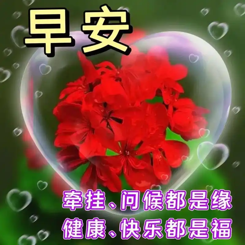 经典款玫瑰花语,早上问候图片动态图,朋友早安