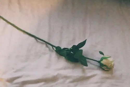 复古港风少女写真