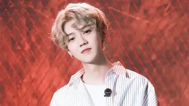 鹿晗参加拼盘音乐节引质疑,与选秀成员同台表演,遭到网友的嘲讽