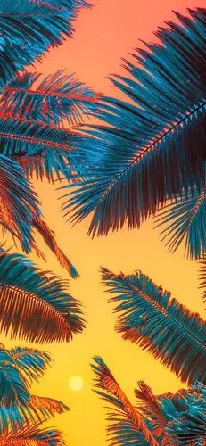 iphonex xs 高清壁纸