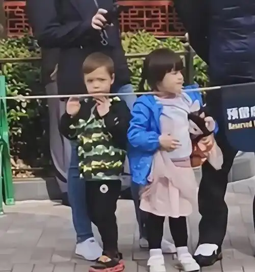 撒贝宁龙凤胎儿女正面照罕见出镜