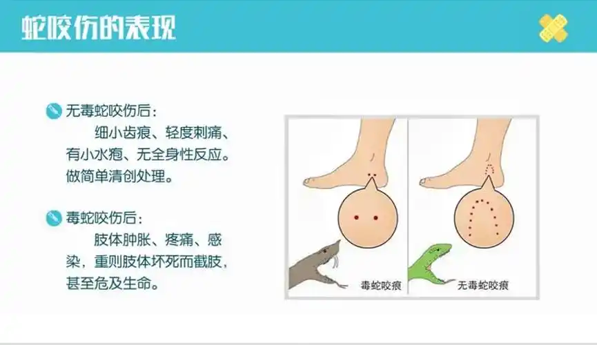健康专栏家庭急救小贴士中