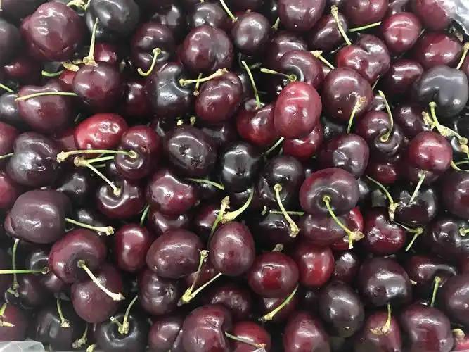 智利pd车厘子3jd5斤