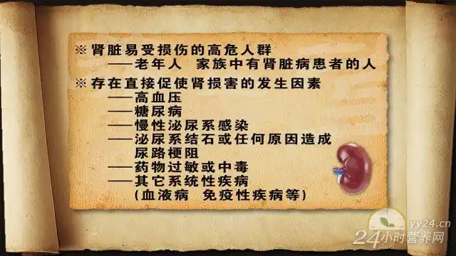 养生堂视频20130706-伤肾那些事儿1-肾脏疾病,尿毒症,慢性肾病,腰疼