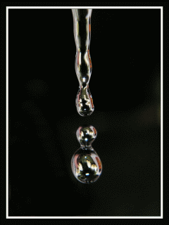 240_320竖版 竖屏gif 动态图 动图