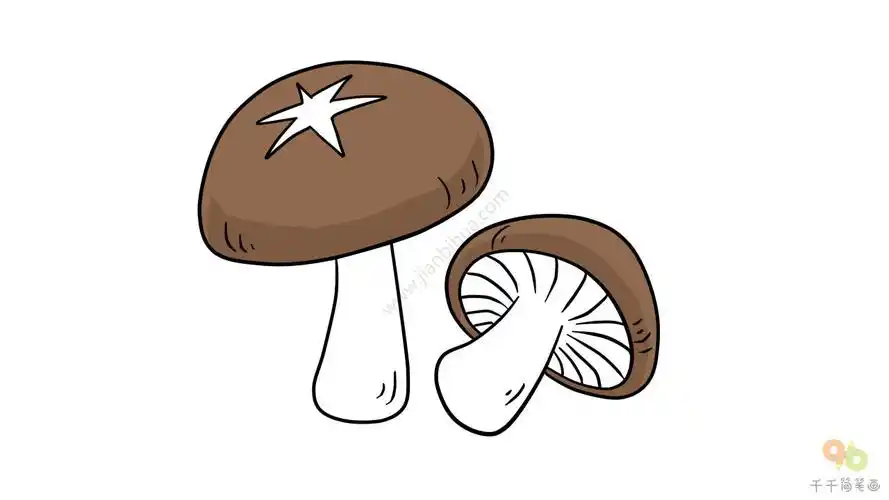教你画香菇简笔画