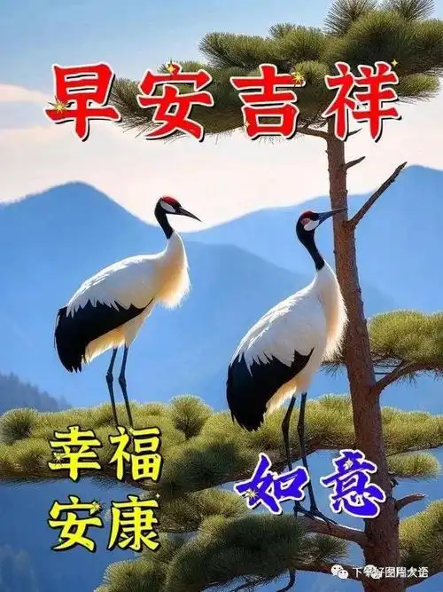 最新早上好漂亮图片祝福语