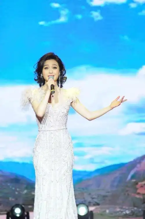 钟丽燕是中国著名的女高音歌唱家,优美的音色和精湛的技艺备受赞誉.