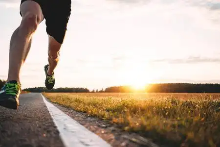 让阿特在户外跑步. 模糊的背景照片