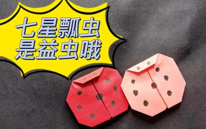 折纸小小瓢虫 七星瓢虫是益虫哦