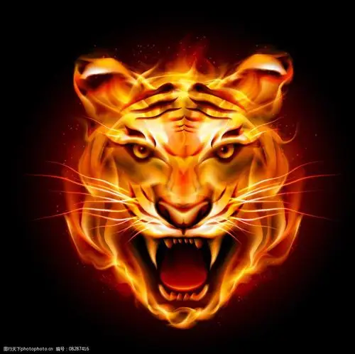 关键词:凶猛火焰虎头 凶猛老虎 火焰虎头 创意烈火 高清火焰 视觉火焰