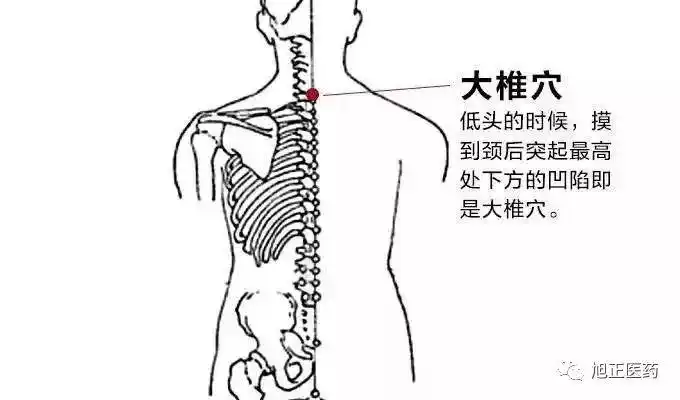 百病的锁钥大椎穴