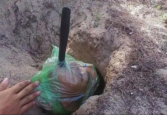 越南特种兵:装备差抹泥巴,爬墙像猴子,走路像小偷,埋在土里藏