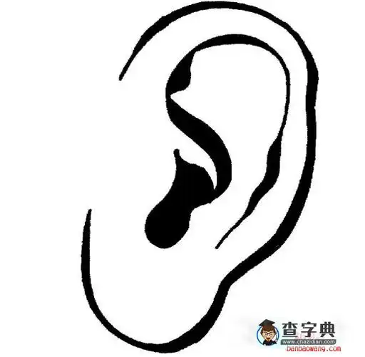 3怎么画耳朵简笔画