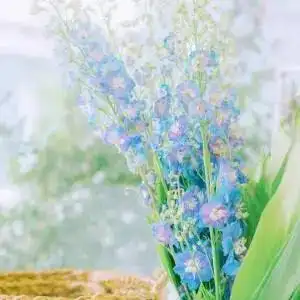 简约好看的小清新微信风景头像精选 唯美清新淡雅时尚个性微信头像