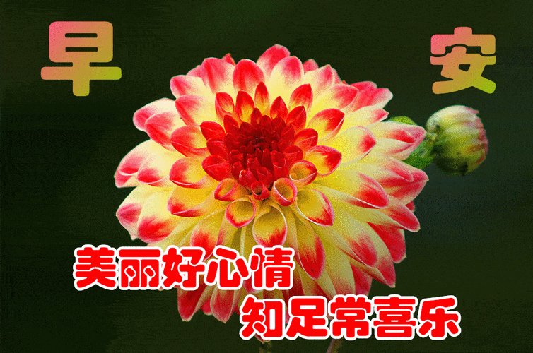 朋友圈冬天漂亮早上好祝福语图片带字温馨精选最美早安早上好图片带