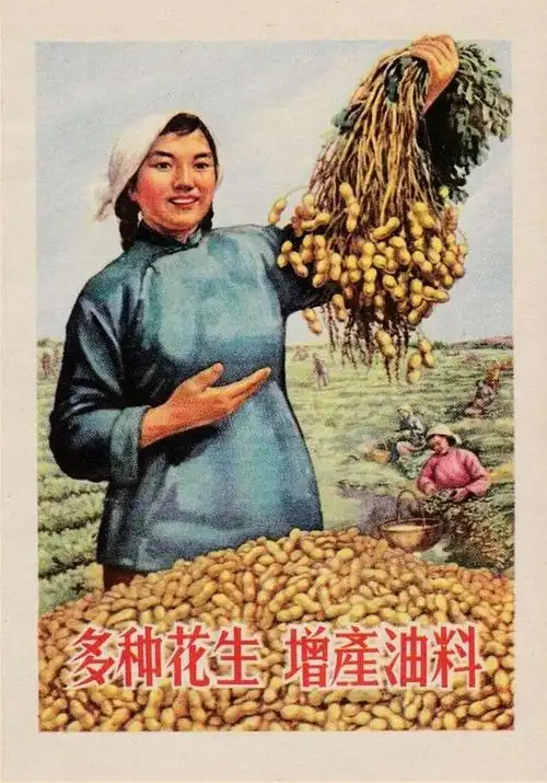 怀旧50年代宣传画,农民做出了巨大贡献!