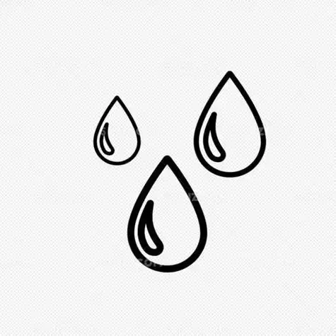 叶子上有水滴的简笔画